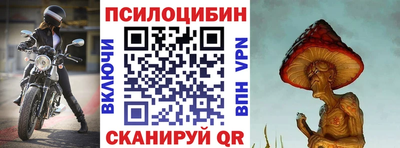 Псилоцибиновые грибы Psilocybe  наркотики  Петров Вал 